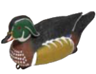 ברווז 30 סמ